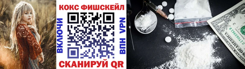 Кокаин Fish Scale  Купить закладки  Чапаевск 