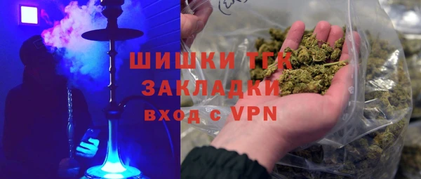 сатива Костерёво