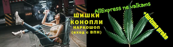 сатива Костерёво