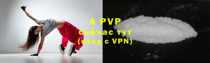 a pvp Коряжма