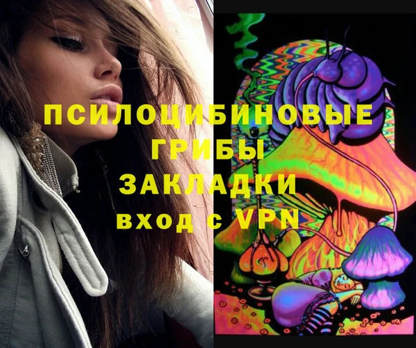 a pvp Коряжма